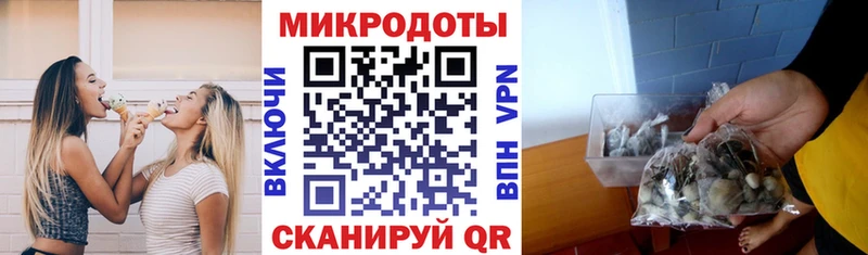 Псилоцибиновые грибы GOLDEN TEACHER  Ельня 
